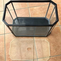 [済]プラスチック水槽(約40cm)の画像