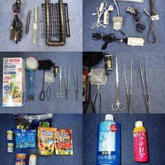 アクアシステムのお得フルセット！お部屋で熱帯魚始めてみませんか。の画像