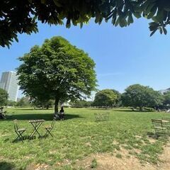 東陽町・木場・門前仲町で朝活１時間