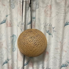 ライト
