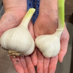 にんにく