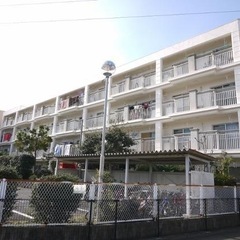 高松市伏石町　ペット相談可能✨(敷金預かりなど条件付き) …