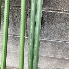 イボ支柱の画像