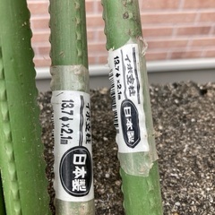 イボ支柱の画像
