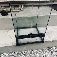 グラステラリウム　3045の画像