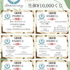 アクアヴィレッジ5周年祭イベント！