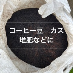 ④6月上旬お渡しの予約受付中　珈琲抽出後のおり　コーヒーかす　コ...