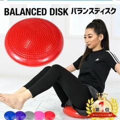 バランスボード トレーニング エクササイズ 体幹 