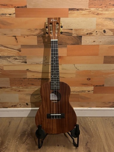 Elvis コンサートウクレレ　K100C 美品！