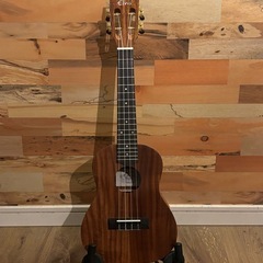 Elvis コンサートウクレレ　K100C