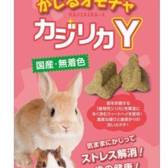 新品 小動物用 カジリカ Y　おやつ おもちゃ フード ハムスタ...
