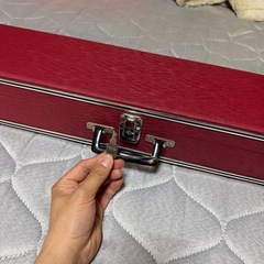 ライリッシュ 大正琴 若草 ハードケース付　美品の画像