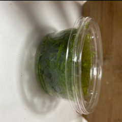 【100円 or 水草交換OK】ウィローモス（水草）90mlカップ入り🌿【名古屋市熱田区】 の画像
