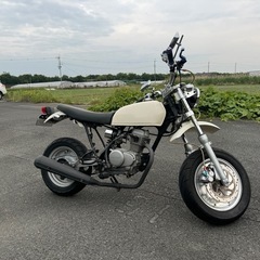 【HONDA エイプ】80ccボア 社外Fディスク仕様などカスタ...