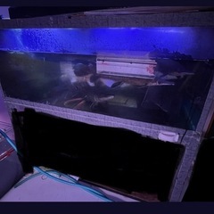 アクリル水槽　　