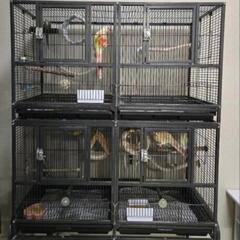 2段式インコケージ 黒 繁殖ケージ HOEI465 繁殖扉 インコ ケージ 鳥かご 繁殖カゴの画像