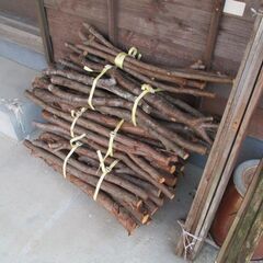 枝　えだ　焚き火　燃料　木材　薪