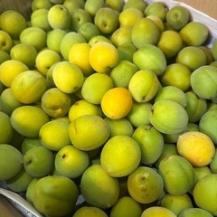 【取引終了】青梅 2.5キロ分