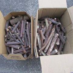 木　枝　細断した枝　燃料　キャンプ燃料