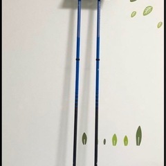 【登山】　トレッキングポール　ブラックダイヤモンド ディスタンスカーボン 125cmの画像