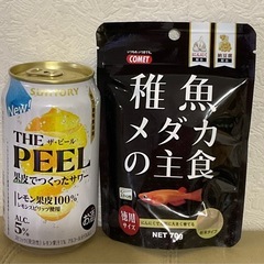 稚魚メダカの主食