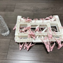 【最終値下げ】 【20%OFF】 🌟リッチェル 洗濯かご＋収縮式ピンチハンガー セット お譲りします【2点セット・400円】🌟の画像