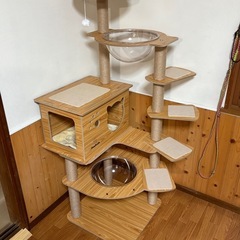 キャットタワー