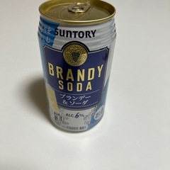 ブランデートニック＆ソーダ10缶の画像