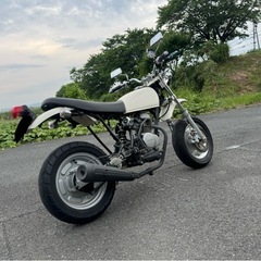 【HONDA エイプ】80ccボア 社外Fディスク仕様などカスタム多数 実動車の画像