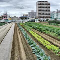 😌眠りの質を良くして日々を心地良く🌛