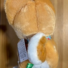 【新品未使用】しば犬のぬいぐるみ（まるたま豆しば三兄弟）の画像