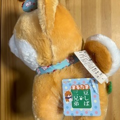 【新品未使用】しば犬のぬいぐるみ（まるたま豆しば三兄弟）の画像