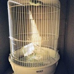 HOEI 鳥かご R440