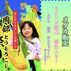 🌽深谷市道の駅おかべ🌽はるちゃんファ〜厶