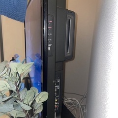 液晶テレビの画像