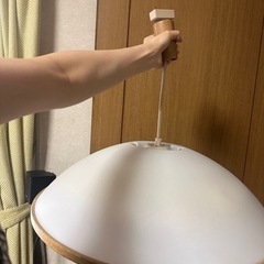 【本日限定無料】照明　シェード・蛍光灯セットの画像
