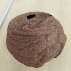蜂の巣…