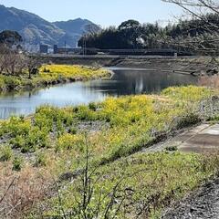 藤枝近辺でお気楽ウォーキング！