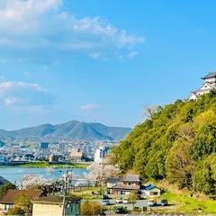 独身が多いです