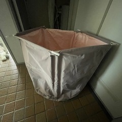 引き取り限定