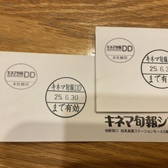 柏キネマ旬報シアター　鑑賞券2枚(6/10まで掲載)の画像