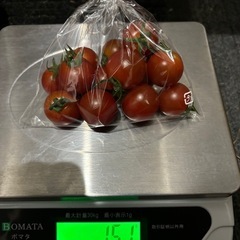 ミニトマト150g①