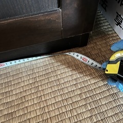 おおきめ洋服ハンガータンスの画像