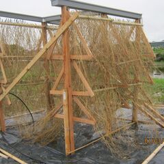 流下式塩田模型の画像