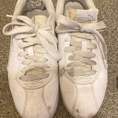 靴　PUMAスニーカー