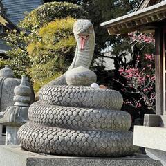 自分のトリセツを作る💌、マヤ暦初級講座を受けてみませんか？