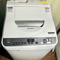 6月7日お譲り決まり⑤
