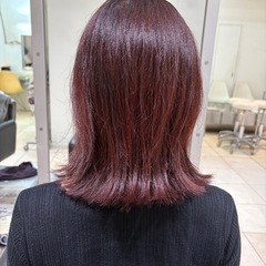 28（水）29(木)21:00前後スタート✂︎無料カットモデル募集中！