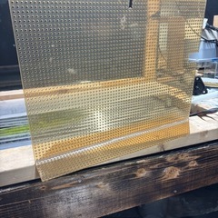決まりました熱帯魚 セパレート 水槽用品