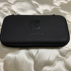 Switchライト　グレー(最終値下げ)　の画像